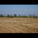 Die Mekong-Ebene ist in dieser Jahreszeit trocken
